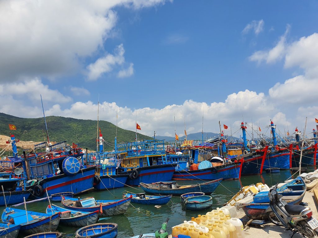 Quy trình vận chuyển mực nhảy