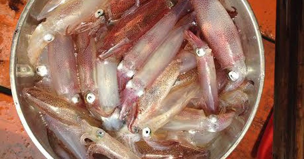 cách chọn mua mực nháy