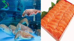 Mục nhảy và cá hồi