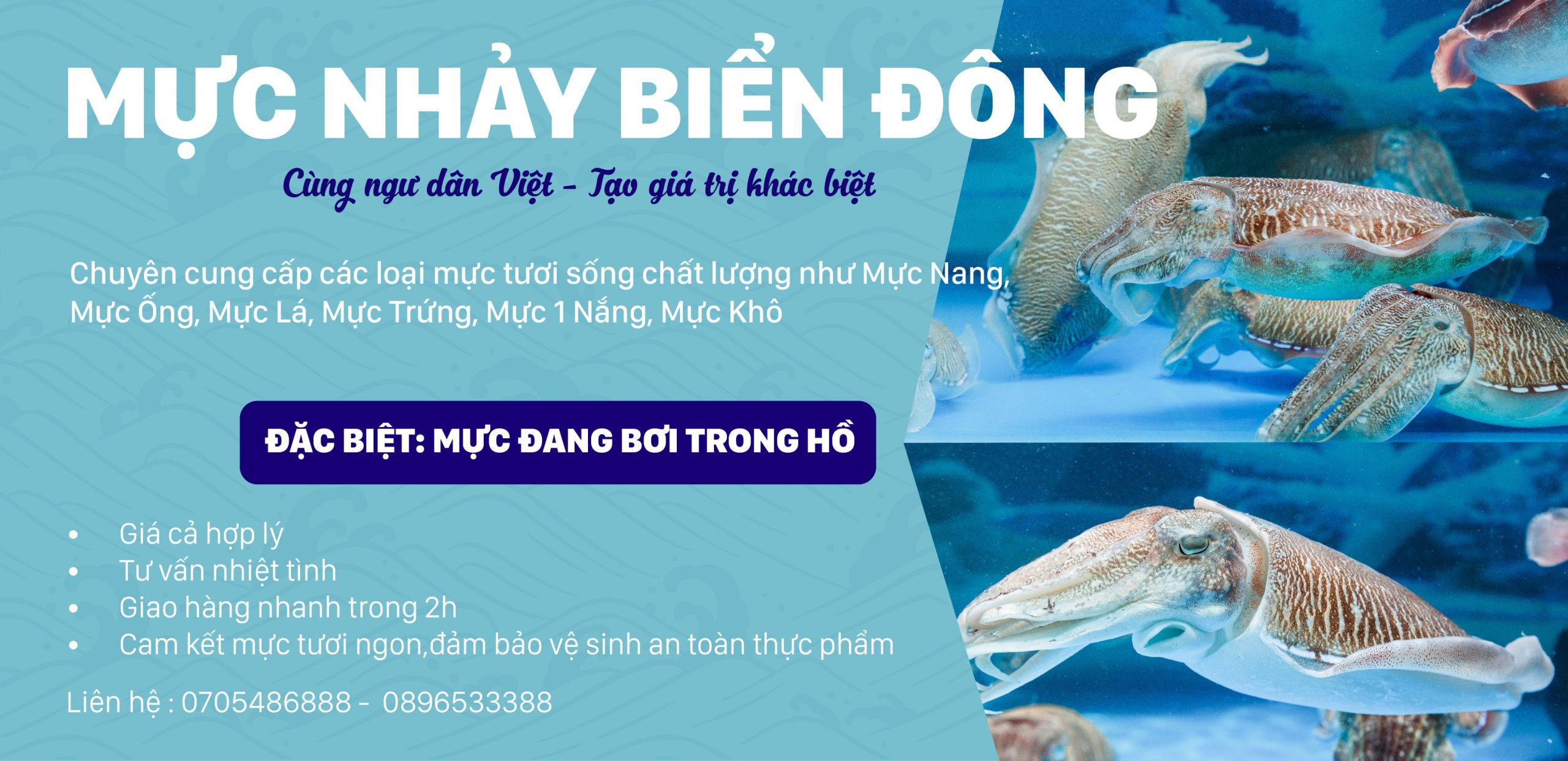 Mực Nhảy Biển Đông muc 1 scaled