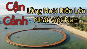 Lồng Thủy Sản Lớn Nhất Việt Nam - Lồng Nuôi Biển Bằng Công Nghệ HDPE Lớn Nhất Thế Giới z5042055058910 4ec276329cebeee70d9c81354b02029b