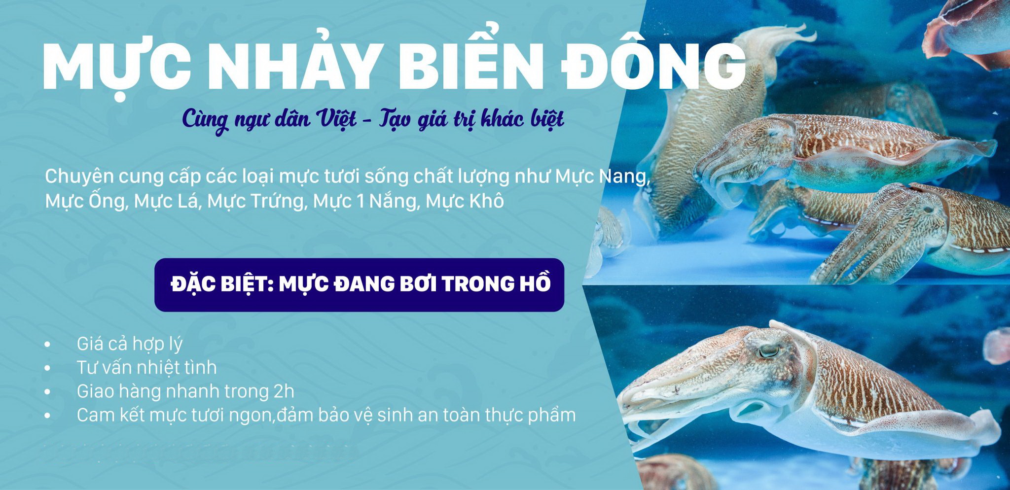 Mực Nhảy Biển Đông muc 1 2048x994 1